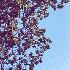 Meet your Posher, Bella